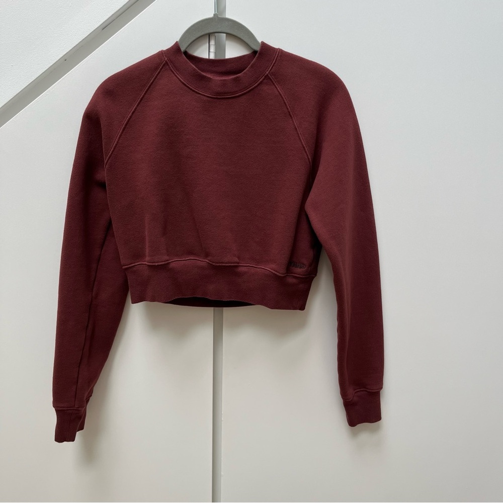 Aritzia Cropped Fleece Sweatshirt